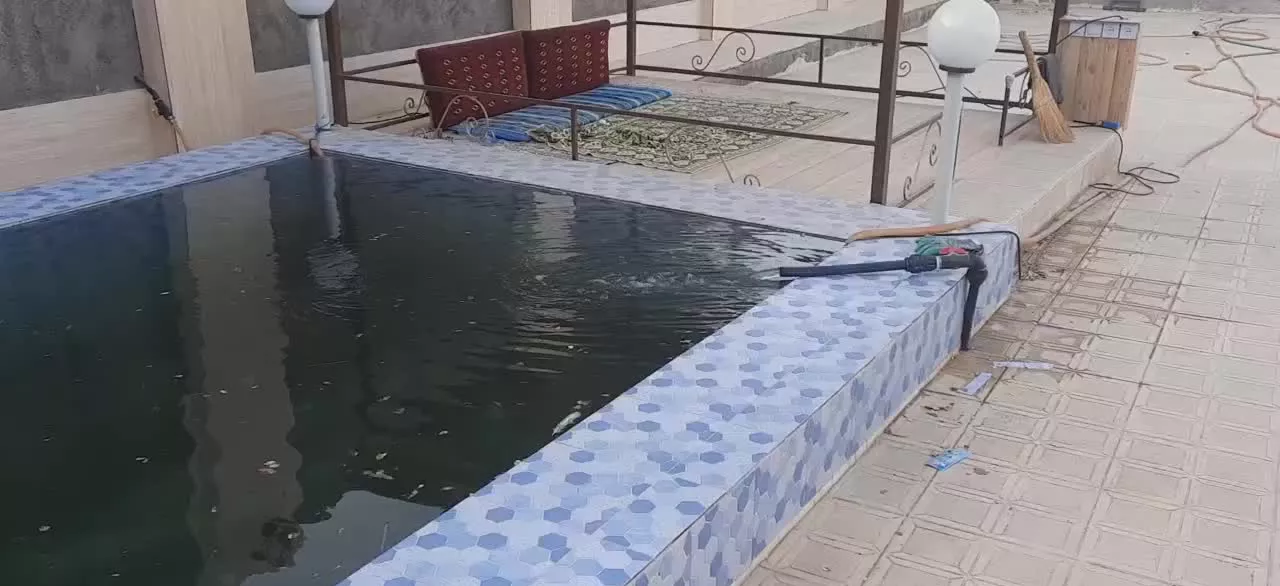 سوران
