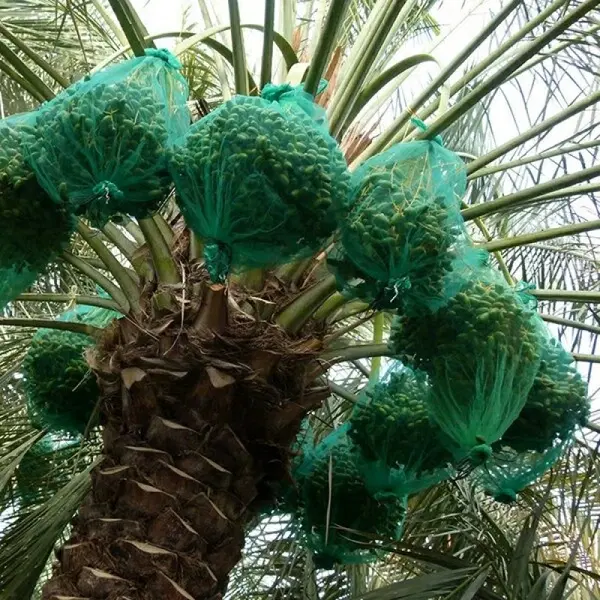 باغچه باغ