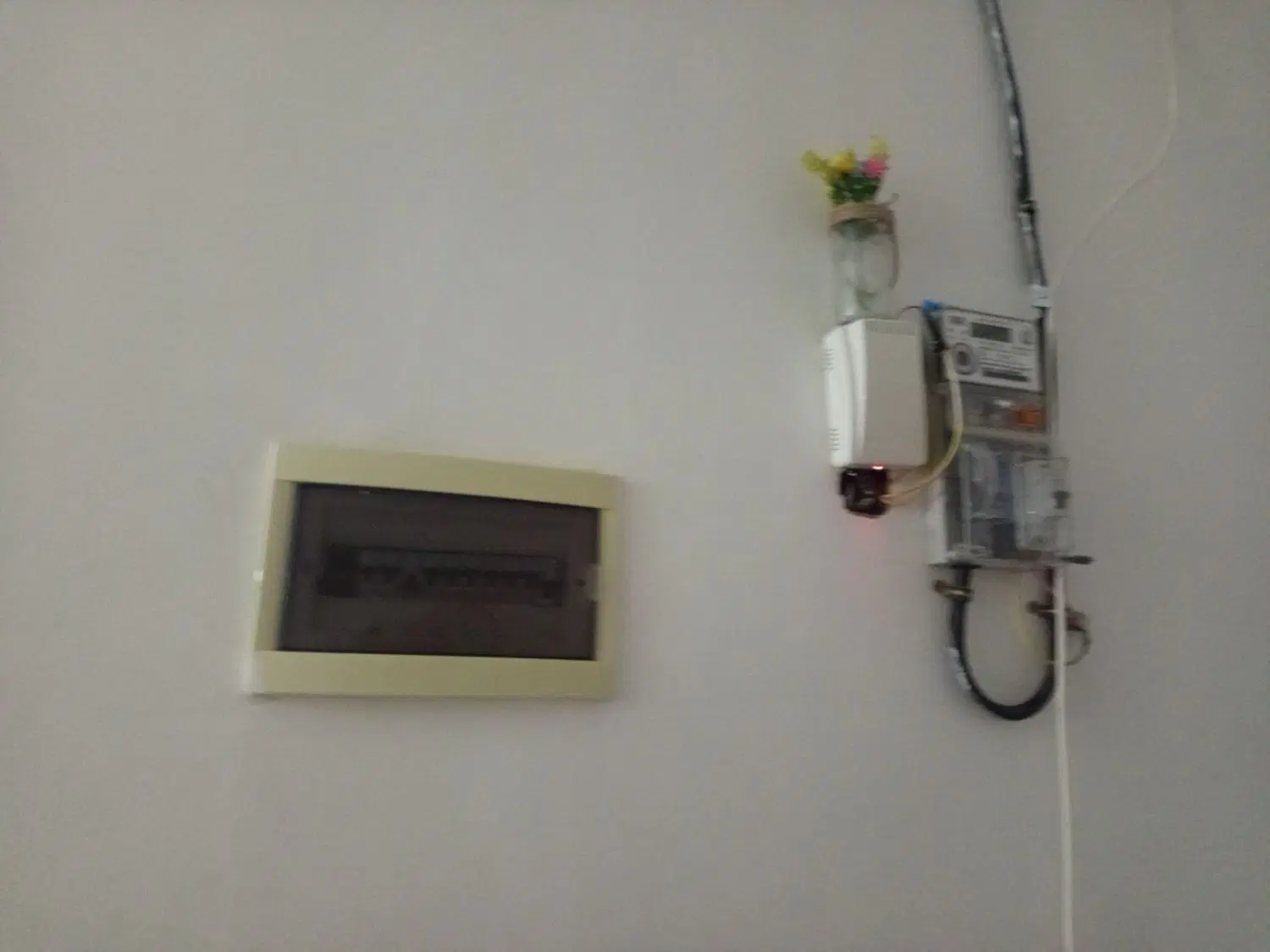 مالمان گرک بو کرایه