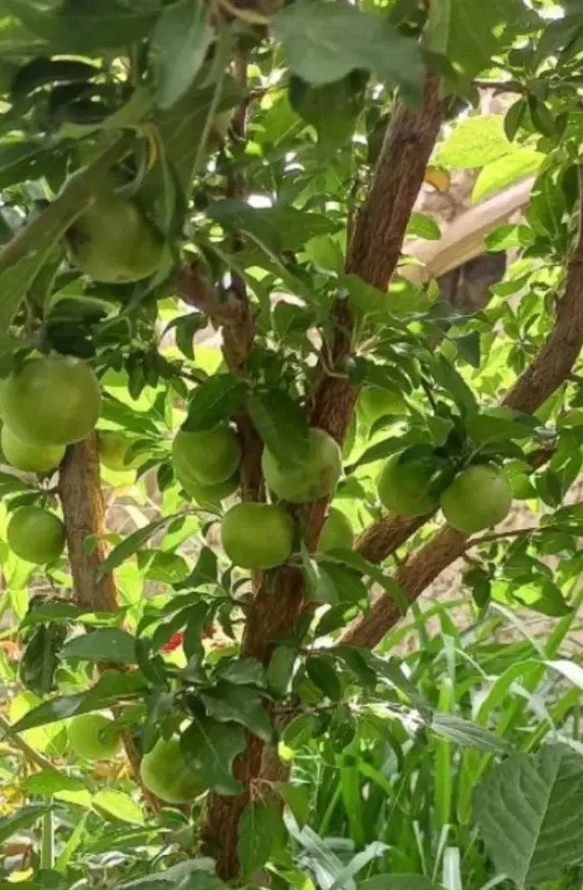 خانه ویلایی در منطقه زرین دشت