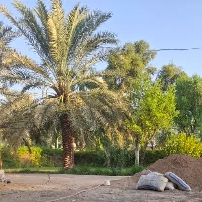 کوی سوم خرداد