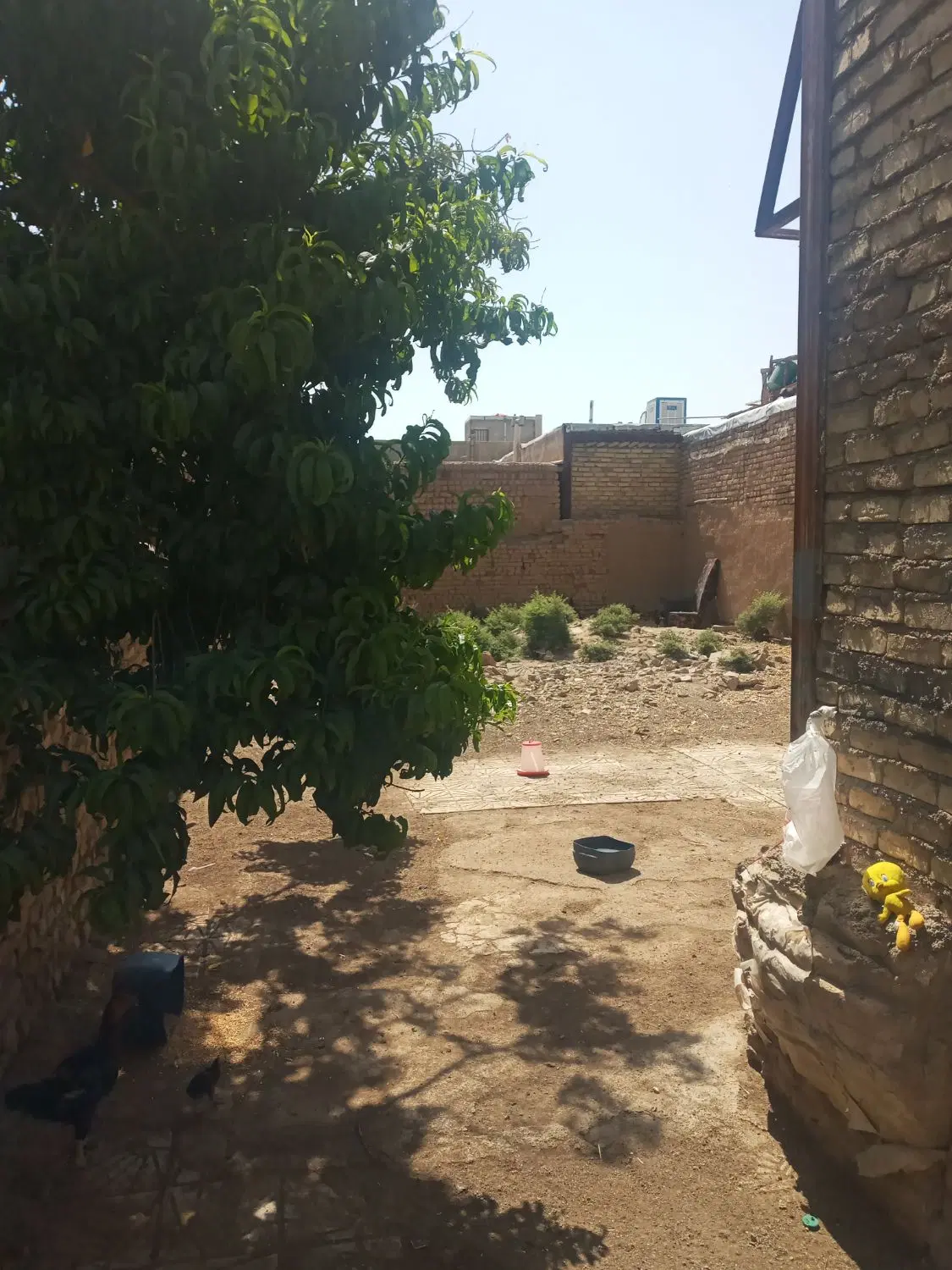 زمین مسکونی وتجاری  در بهترین نقطه شهر