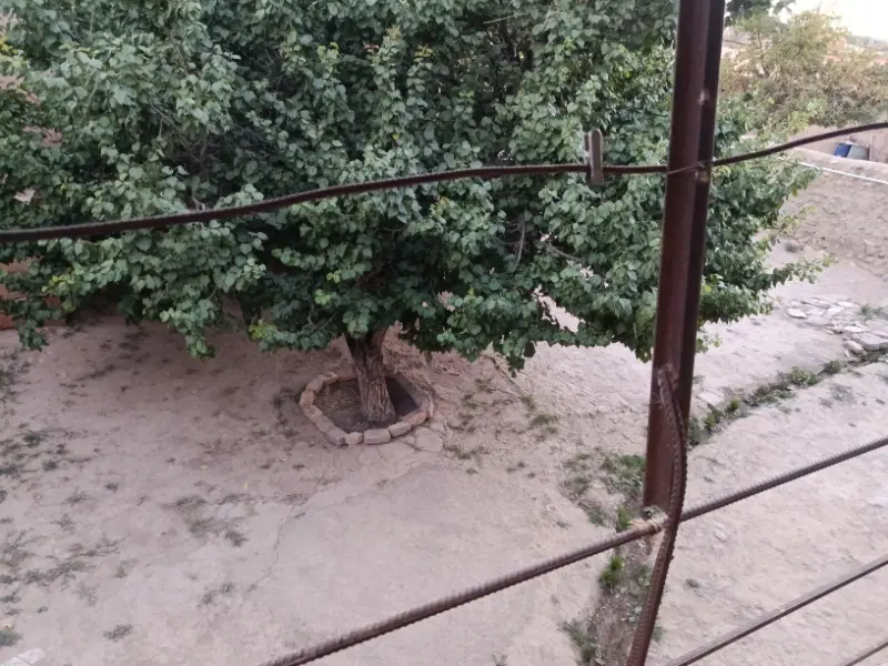 ۶۰۰متر،سند دار،۱۶ساله