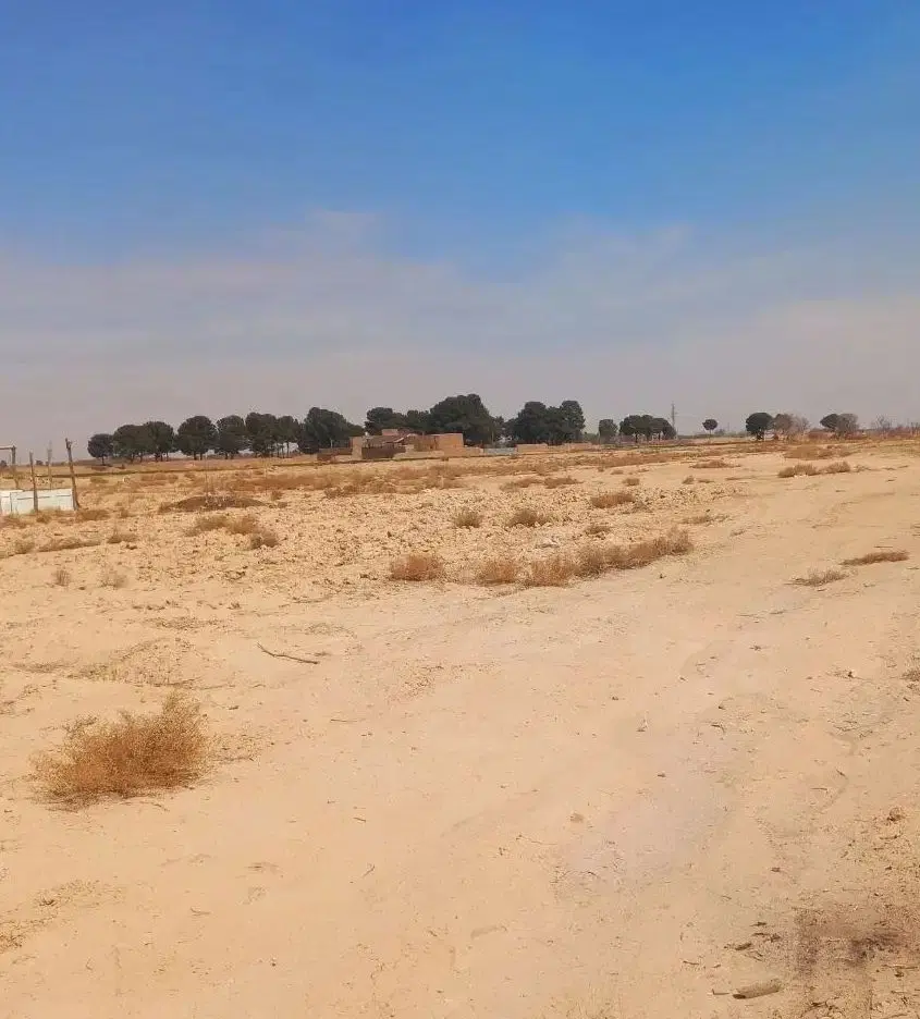 فروش زمین کشاورزی
