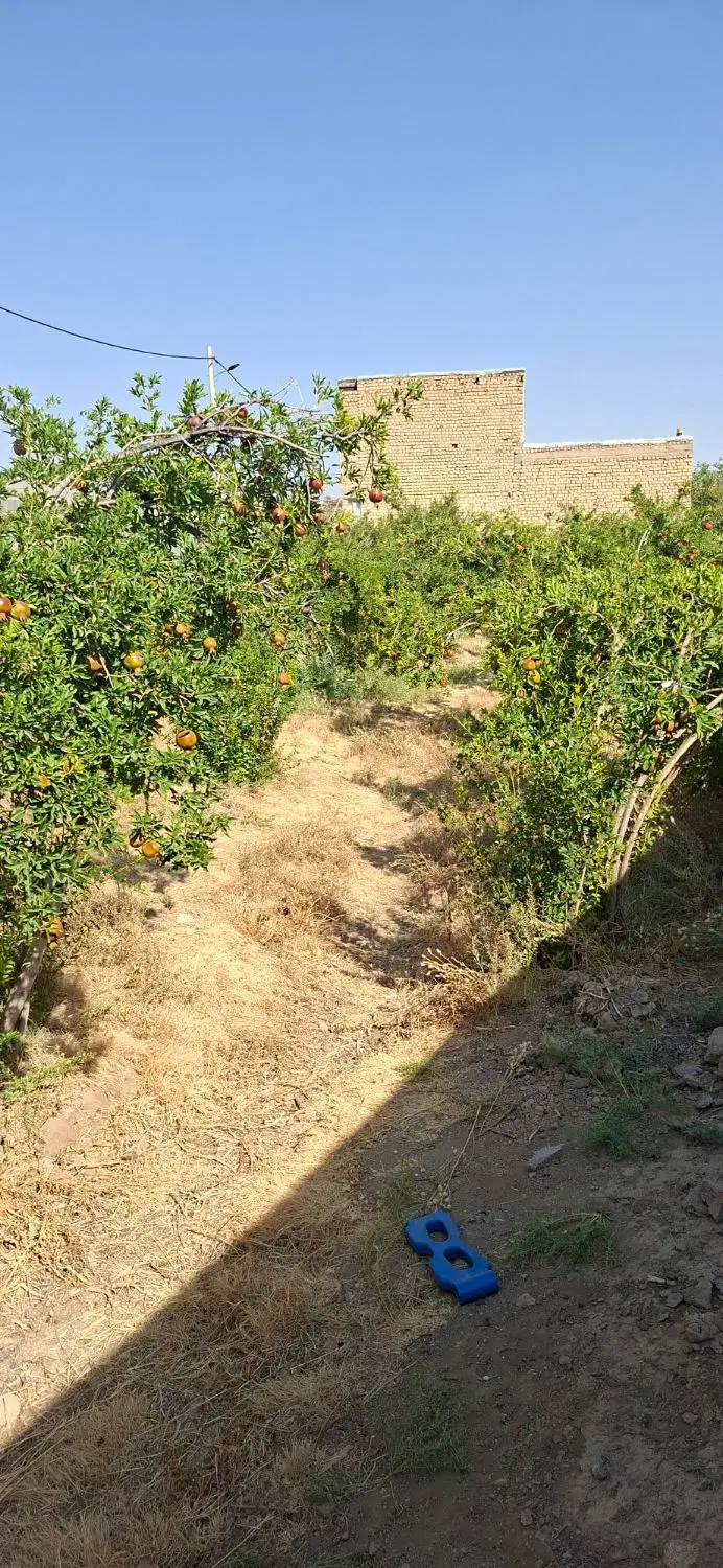 زمین مسکونی