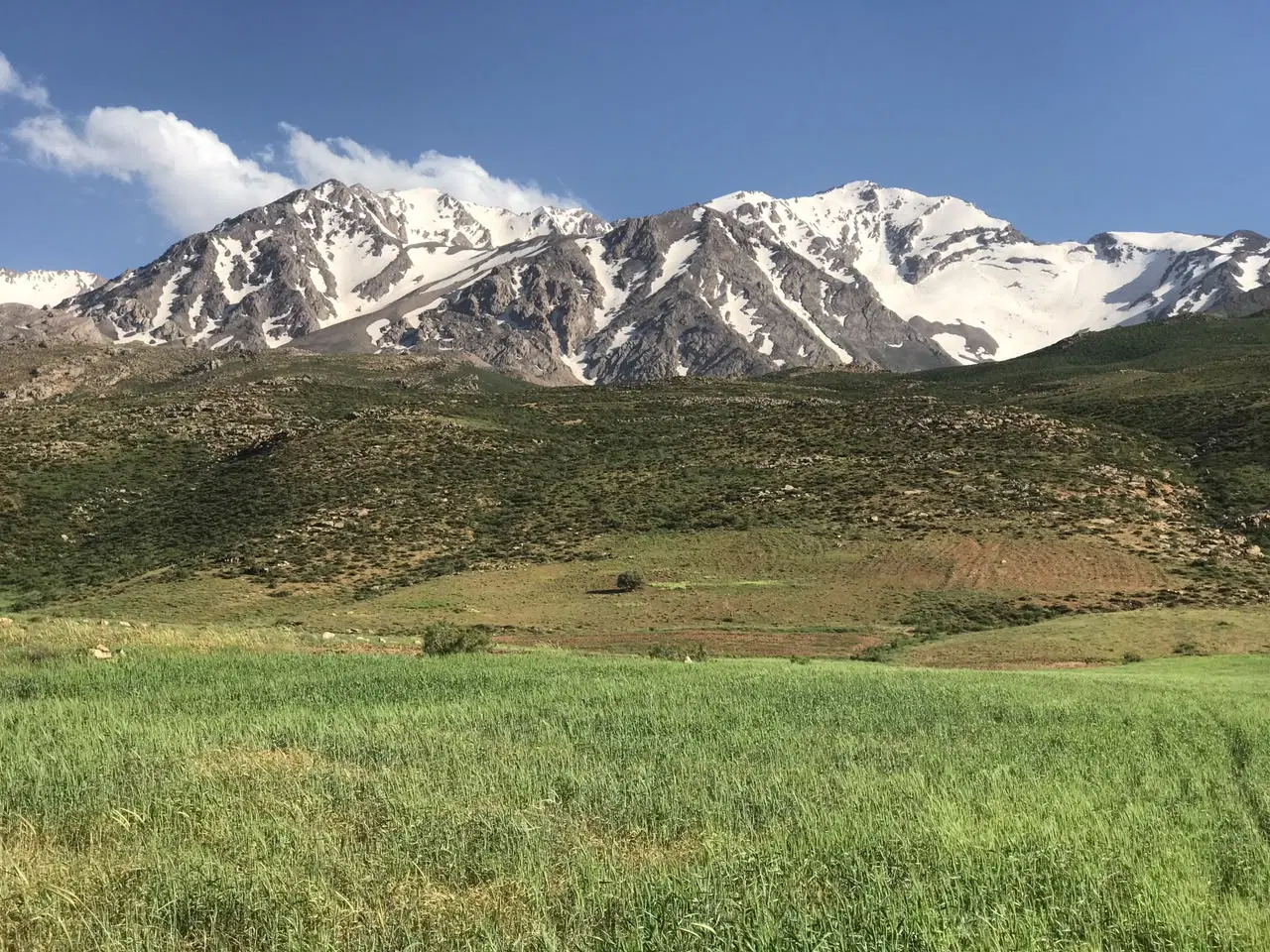 زمین دونبش خانه کارگرصیادشیرازی