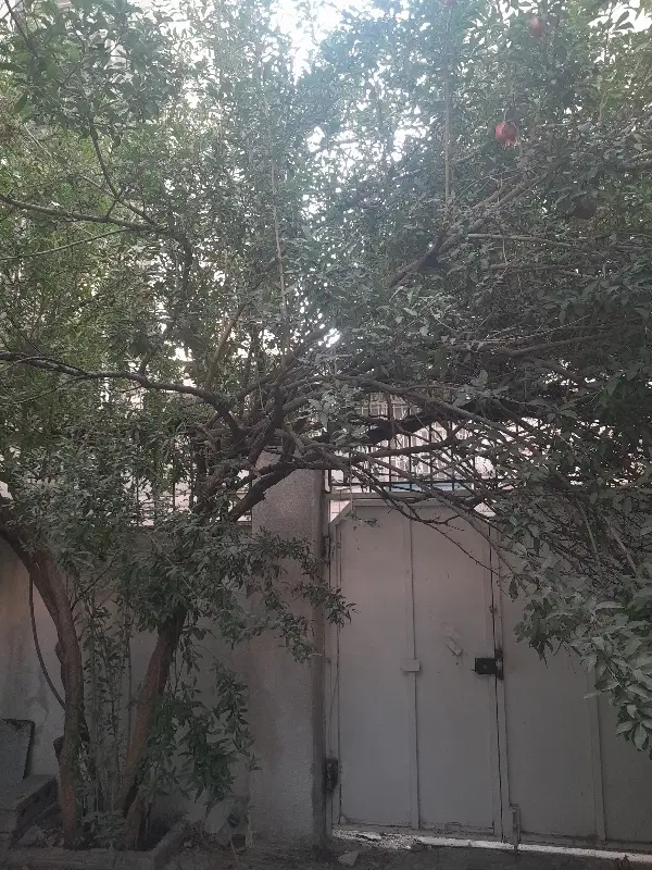 ویلایی کلنگی دوکله لوکیشن خوب سنددار