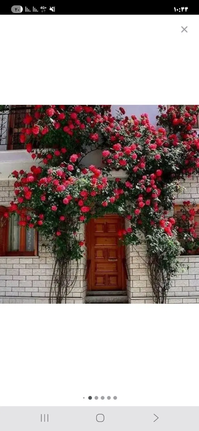 اجاره مغازه برای آرایشگاه وخیاطی زنانه یاانباری