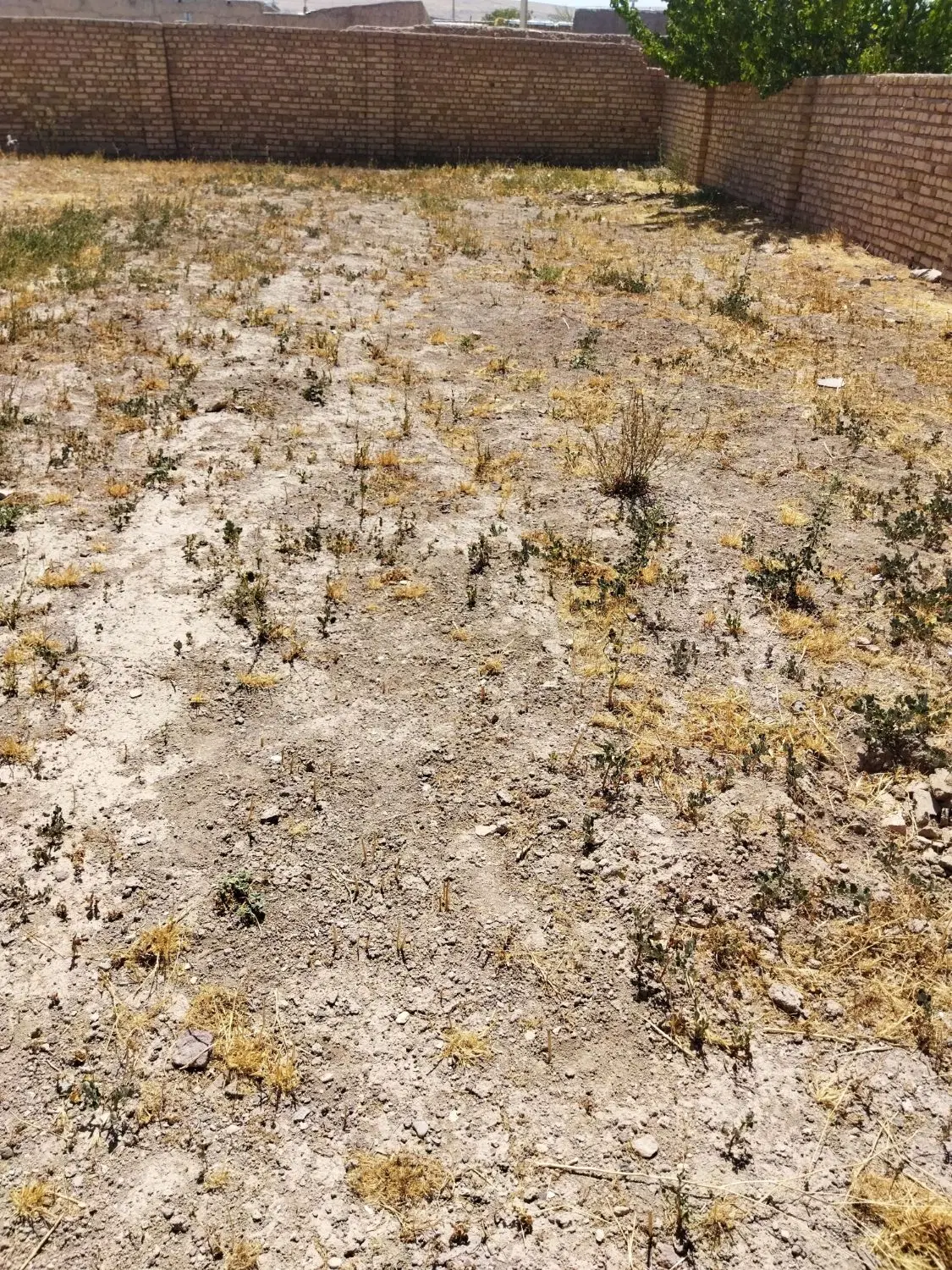 زمین مسکونی در روستای شیرازک .220 متر