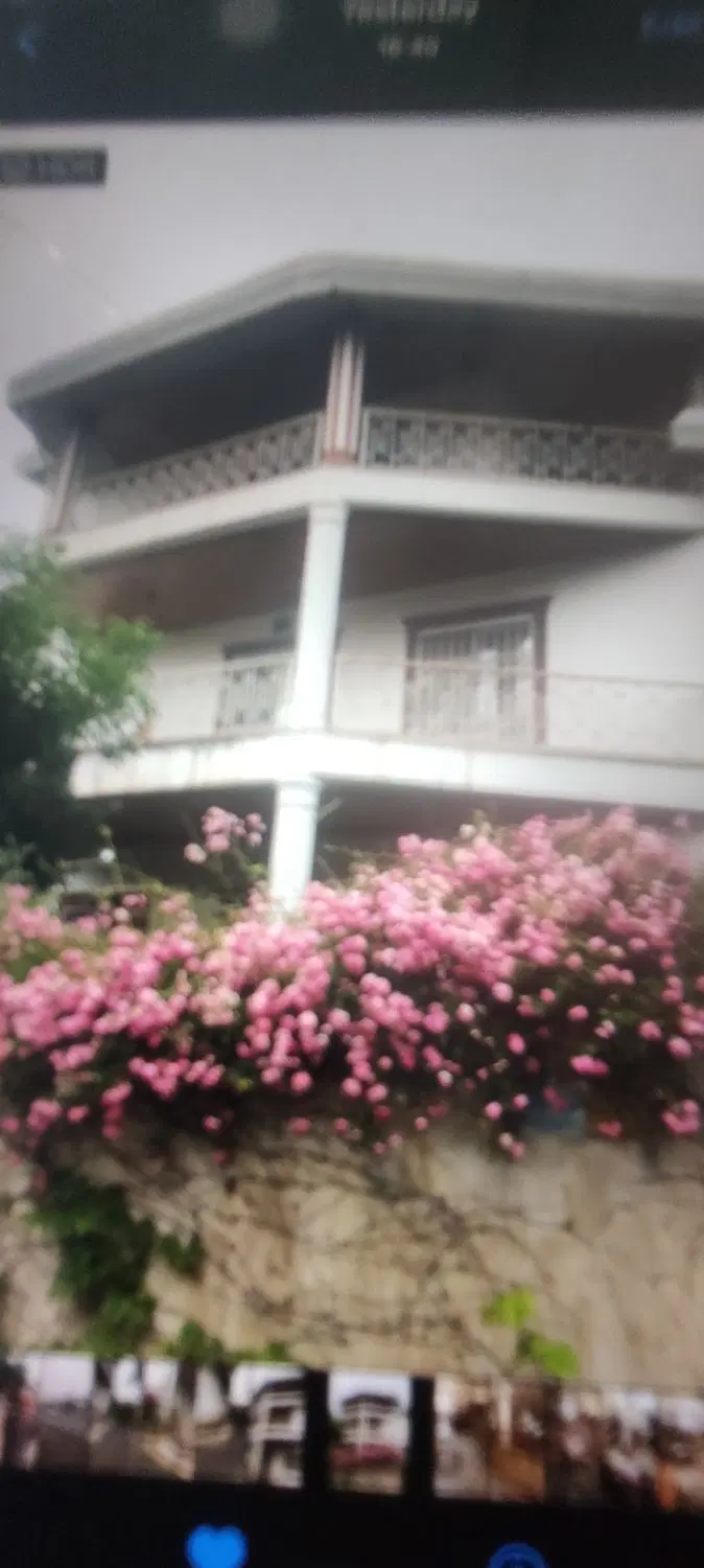 زمین وویلا