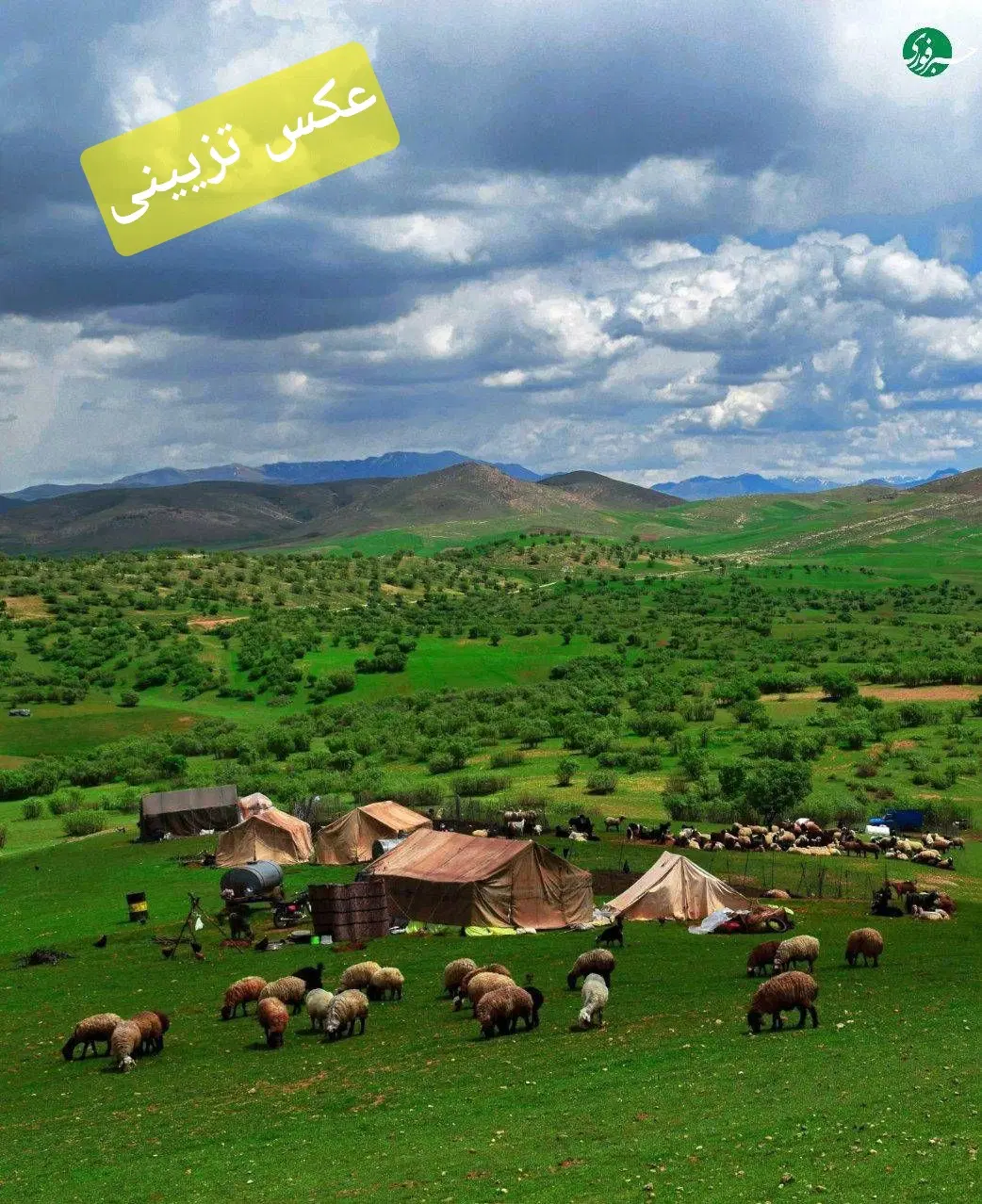 6 حبه زمین کشاورزی مهرودیه سربنان