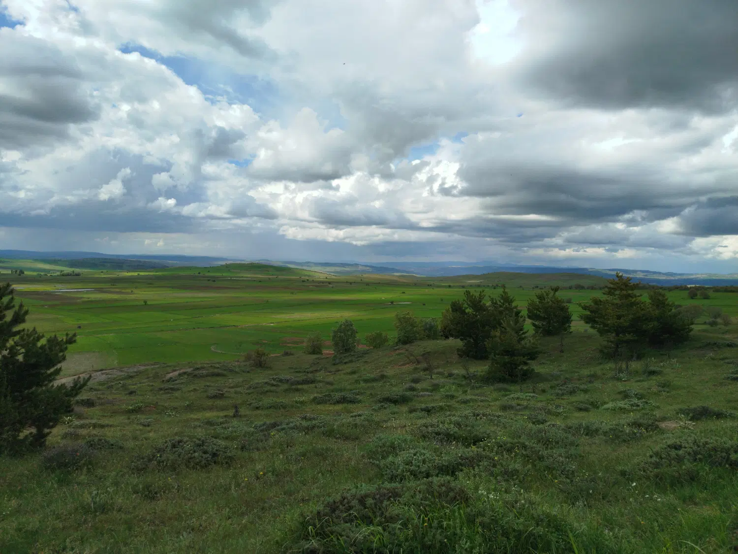 باغ ۵۰۰متری در روستای دیزج جمشید خان
