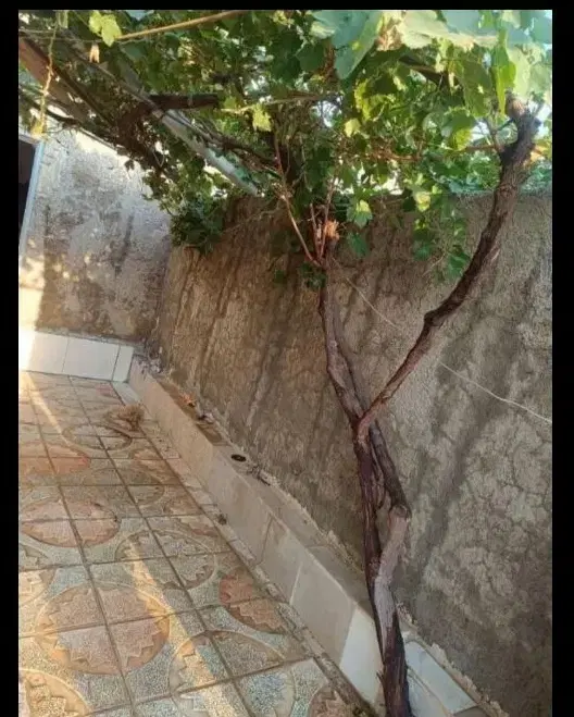 حسن آباد کلج