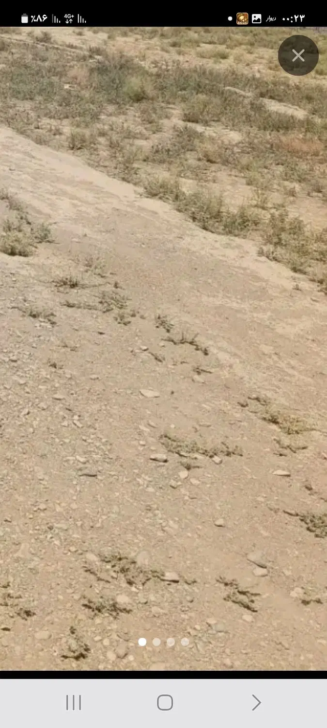 زمین کشاورزی مناسب باغچه
