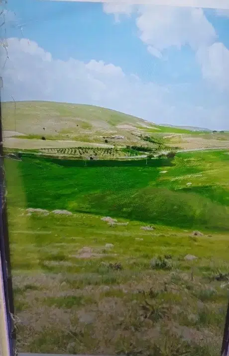 یک قطعه زمین غیر محدوده بوکان - اینگیجه