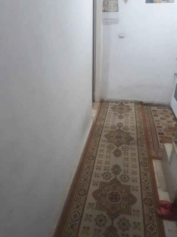 یک سوئیت مجردی