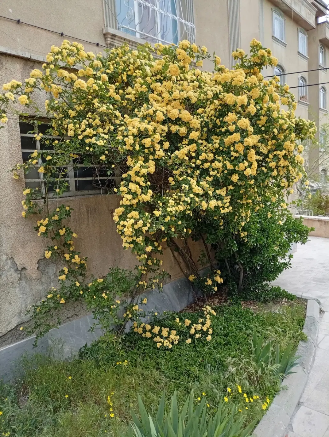 32000مترزمین4دیواری غرب تهران