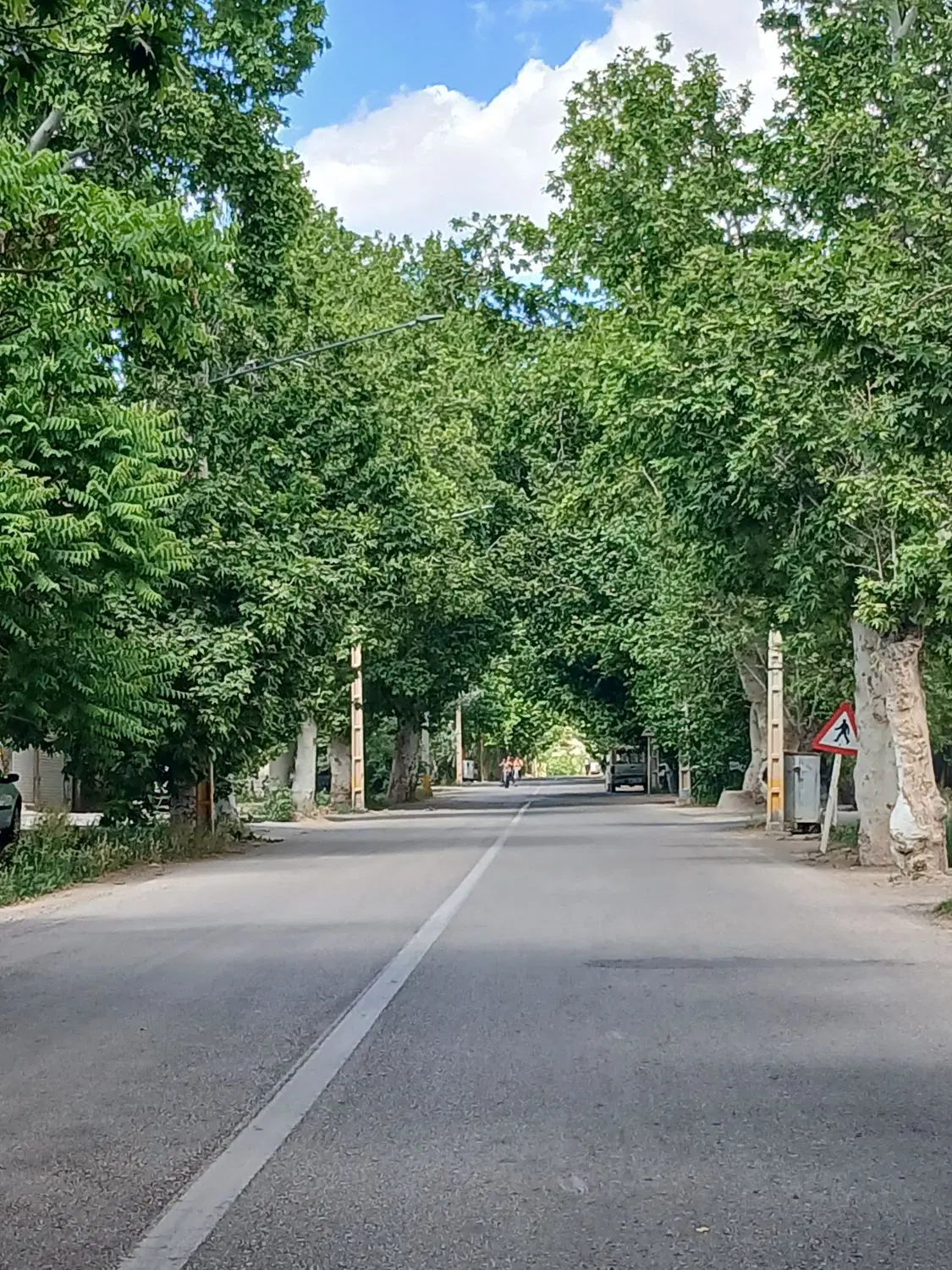 زمین حاشیه جاده سنتو