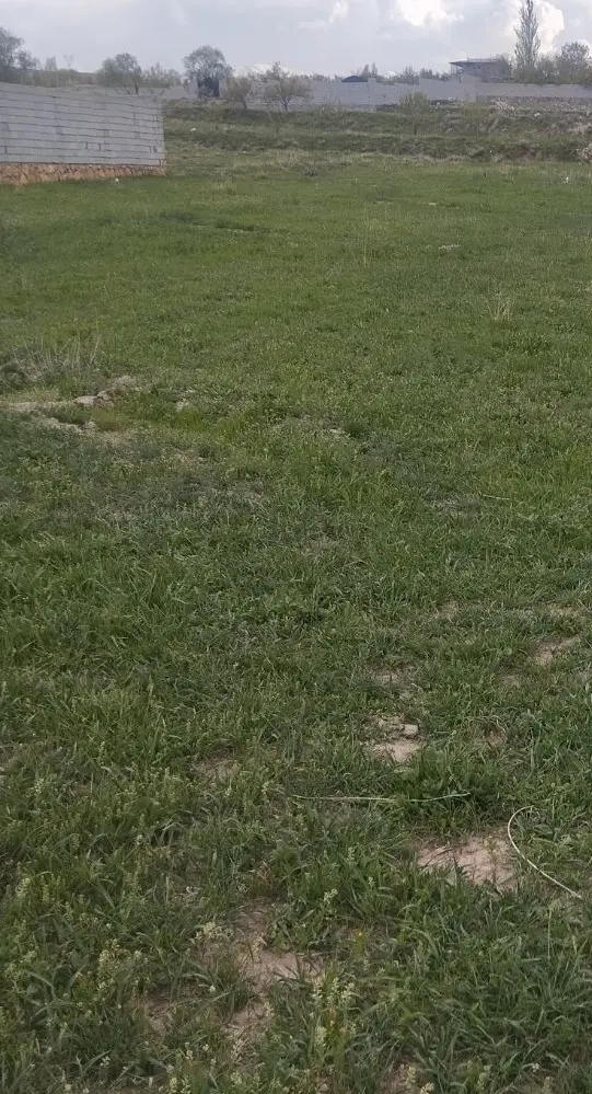 سعیدآباد (فوری)