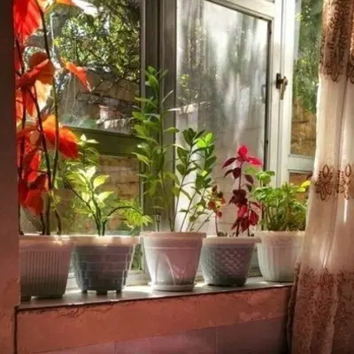مسکونی