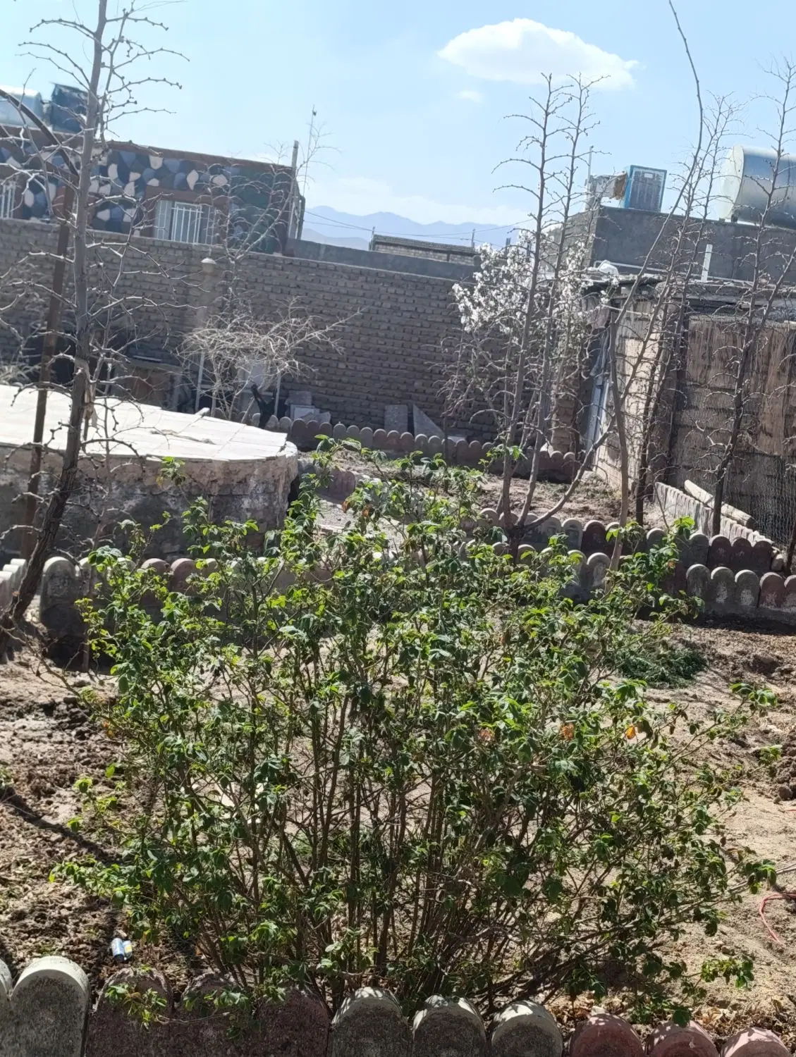 خانه مجانی