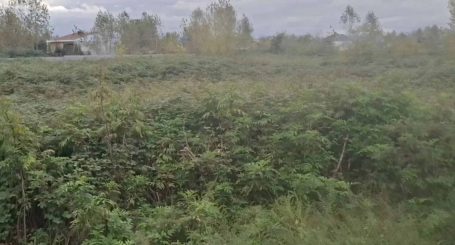 ۳۵۴۹ متر زمین بر اتوبان فومن به سراوان