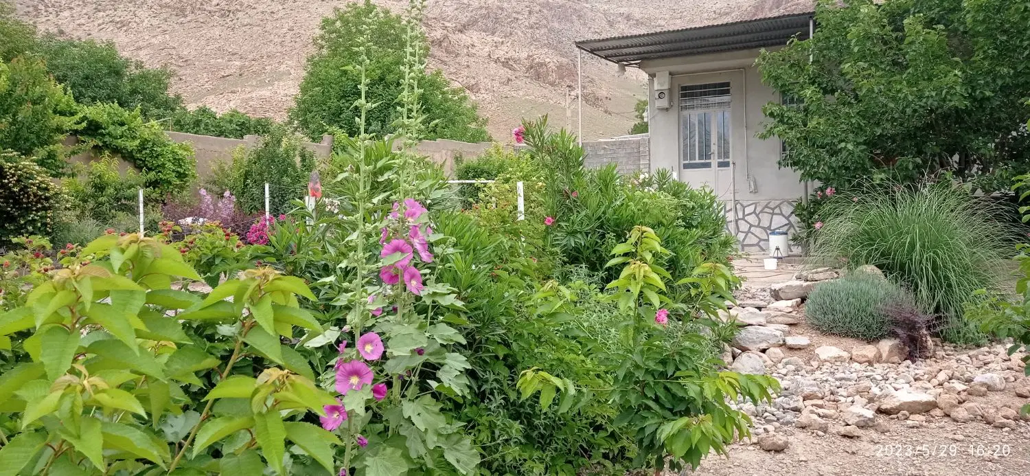 خانه ویلایی