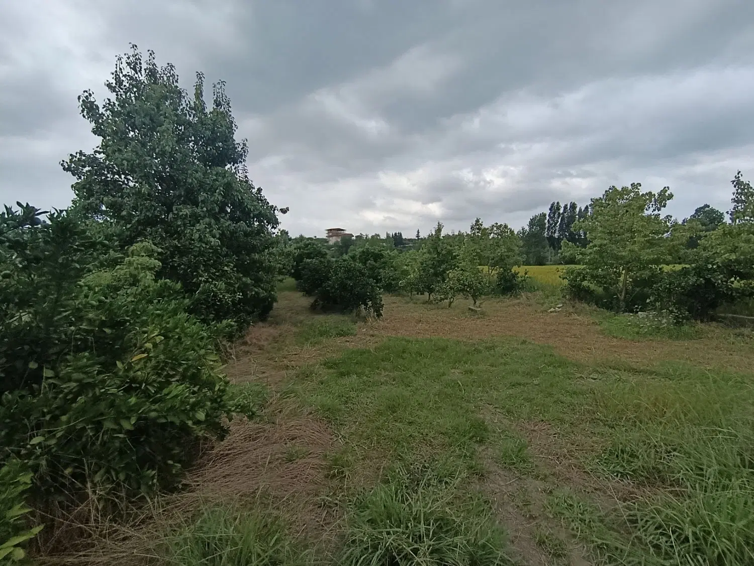 زمین ۳۱۰ متری با پروانه ساخت در روستای قادیکلا