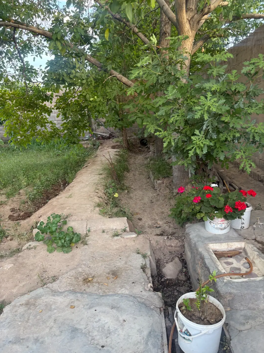 خانه باغ