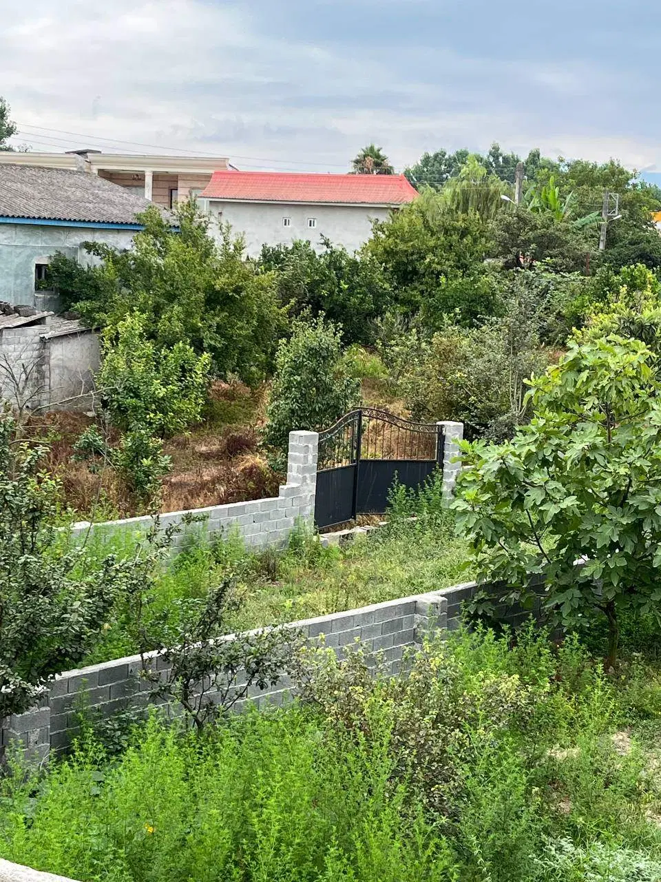 زمین واقع در بافت مسکونی روستای زیبای ساییج محله