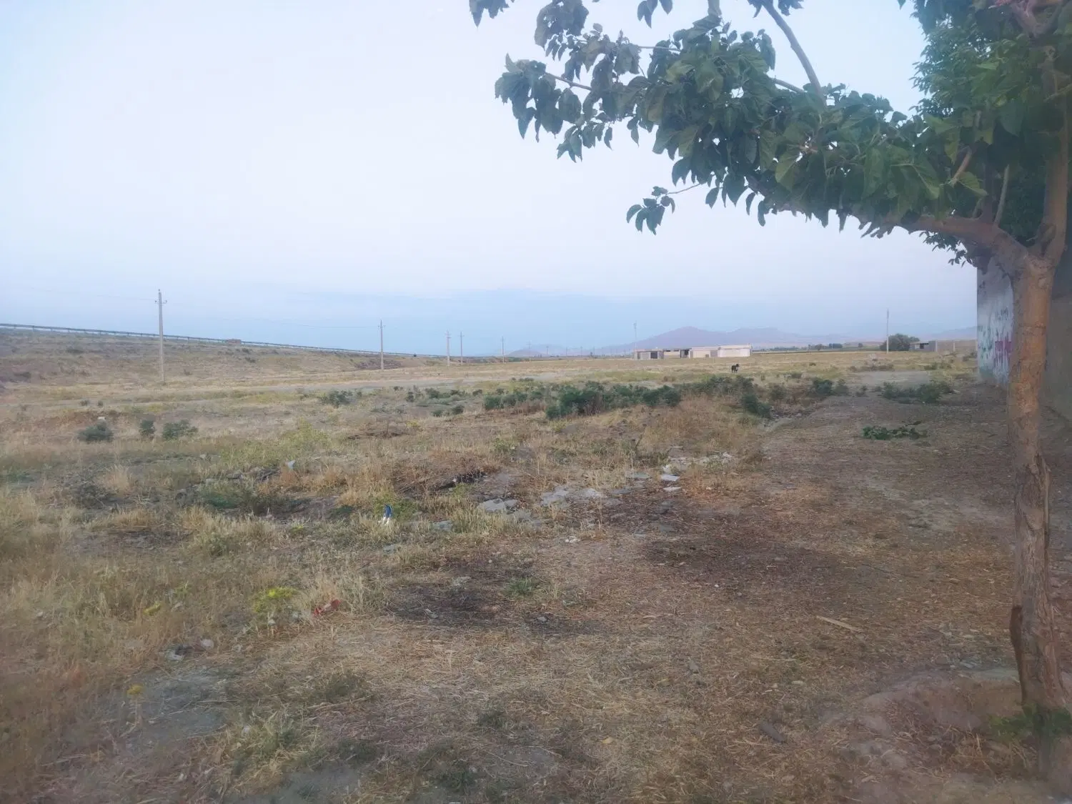 زمین12در6 گرجی