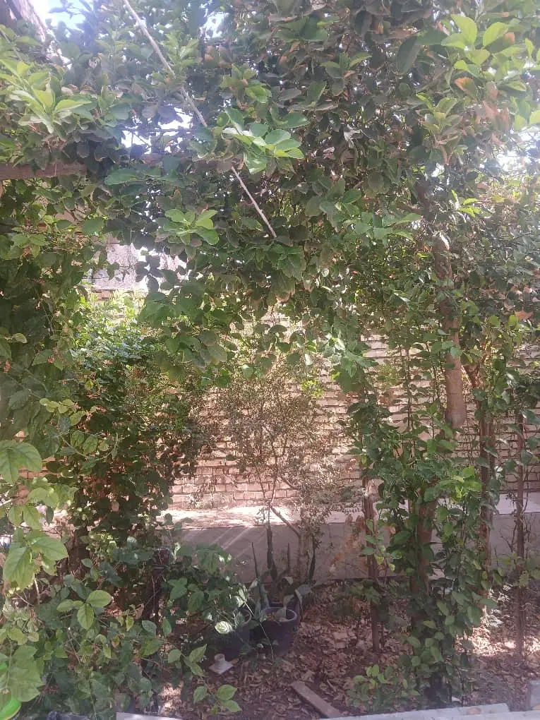 خانه فروشی ویلای