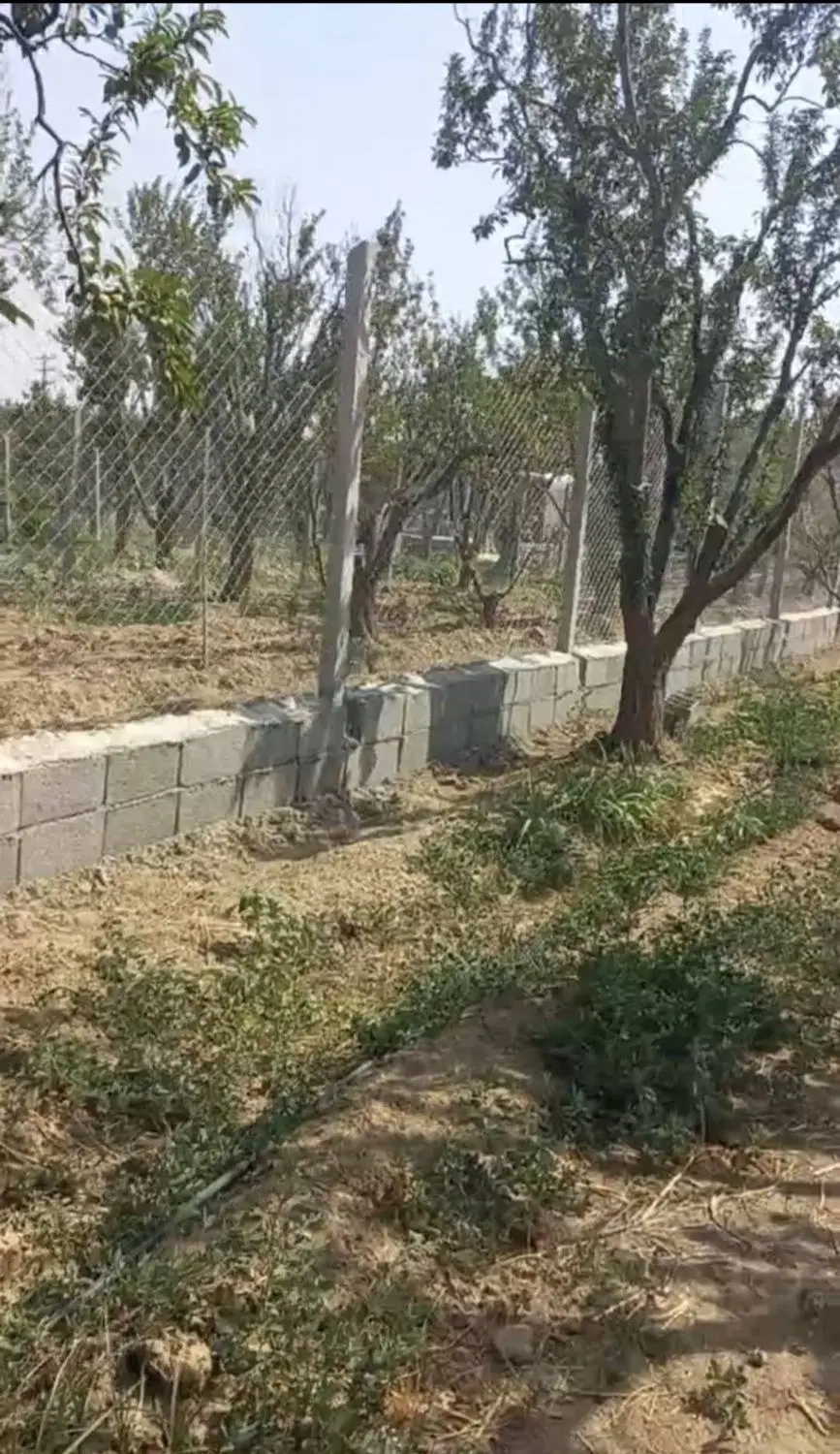 فروش باغچه ۵۰۰ متری تنکمان باغ بهشت
