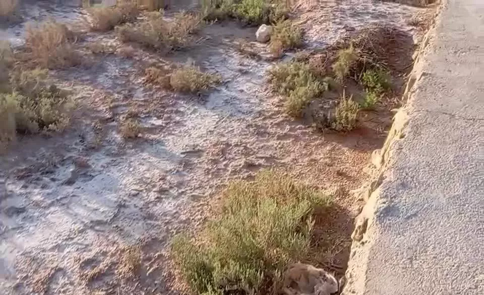 ملک