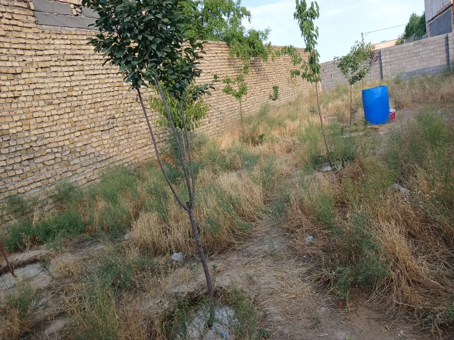 زمین ۲۰۰ متری سند دار خین چماقی