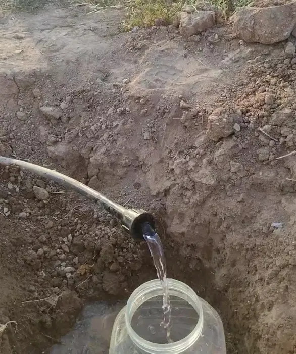 باغشهر شقایق