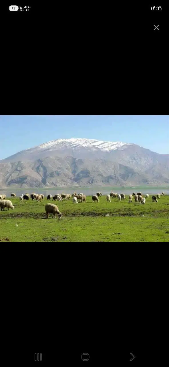 زمین مرغوب ۱۰۰۰متری چهارتنگ علیاتخفیف مشتری نقد