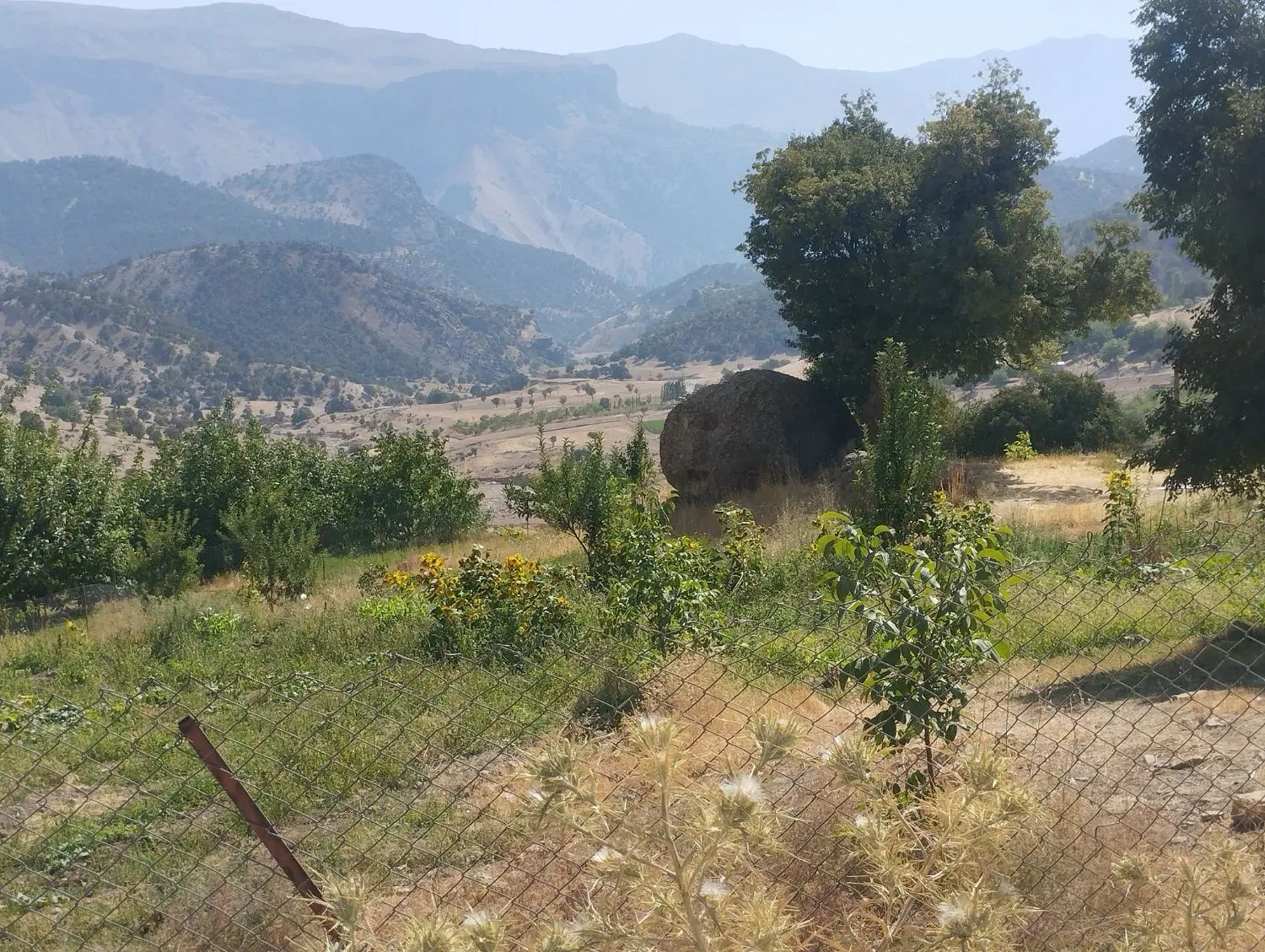 دامداری و پرواربندی گوسفند و گوساله تکمیل