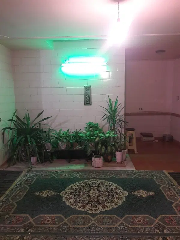 فروش یک باب مغازه تجاری
