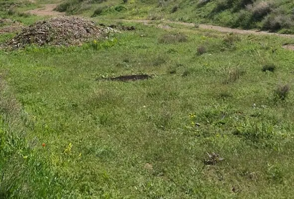 زمین مسکونی ۲۲۰متری در مرکز شهر
