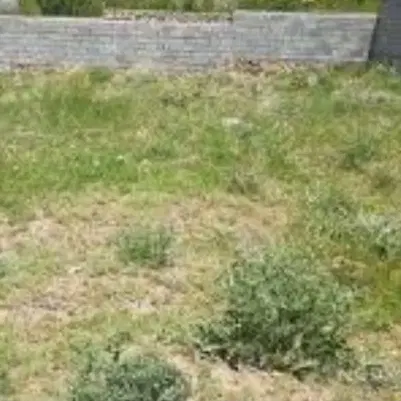 رهن و اجاره زمین