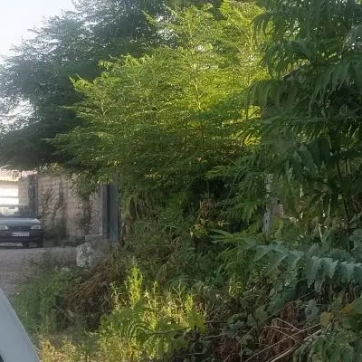 235مترزمین بقیمت کل چهارصدوهفتاد