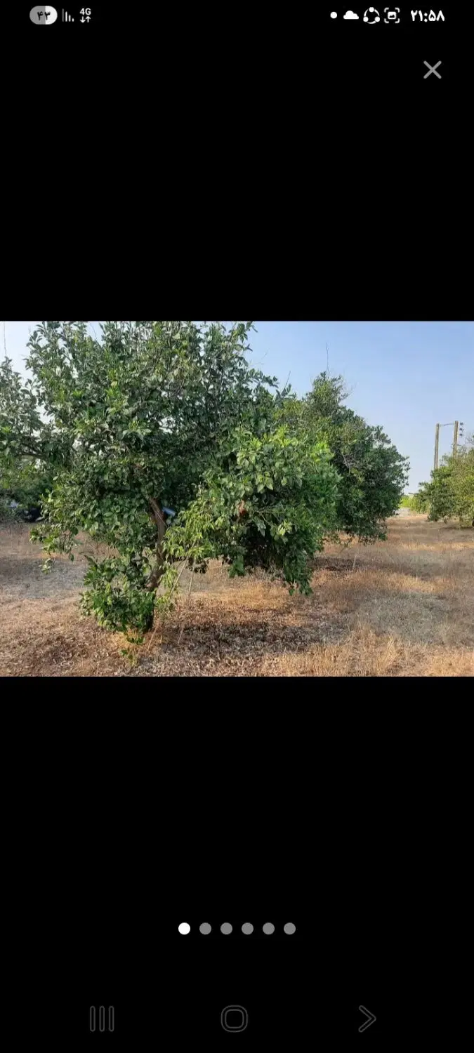 زمین باغی چسبیده به بافت ۴۰۰متری