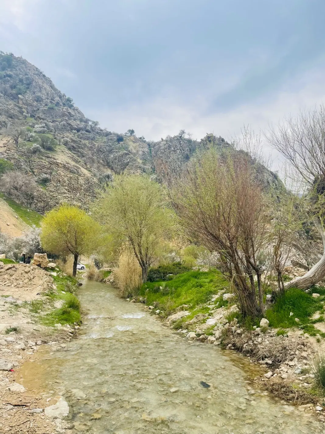 *زمین کشاورزی