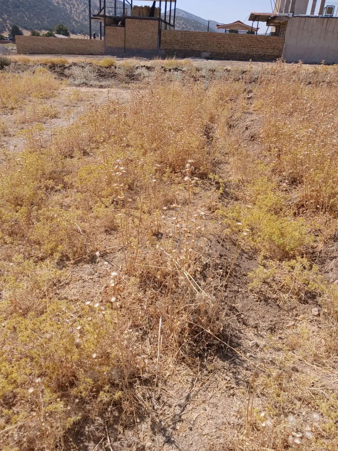 زمین رباط نمکی