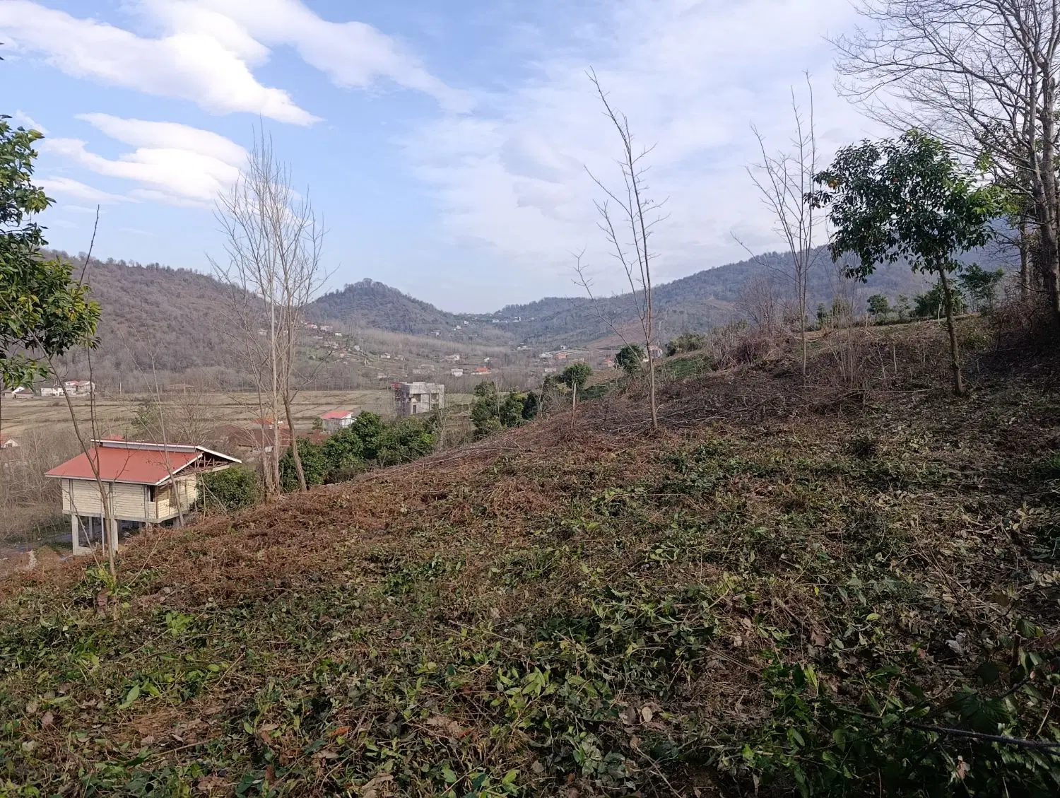 زمین باغی با ویوی بی‌نظیر کوه و شالیزار
