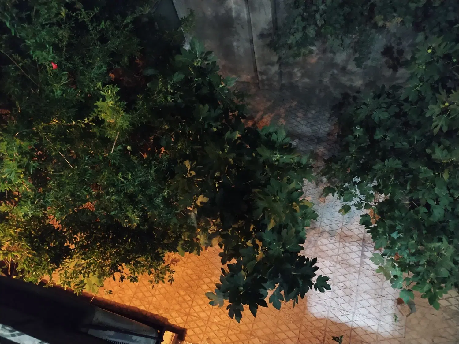 اجاره کلانتری 11