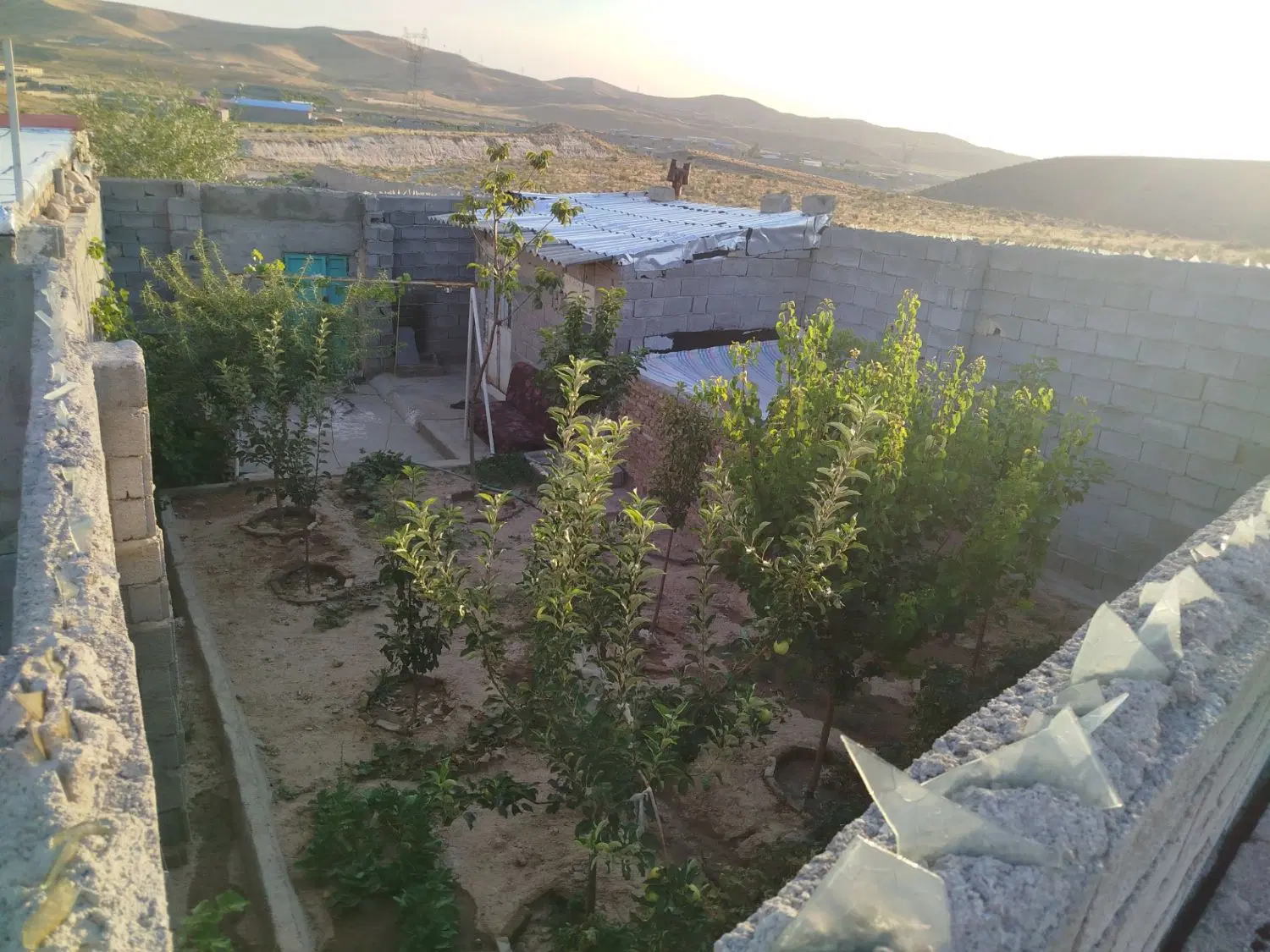 باغ نغولی در اندیشه معاوضه با ماشین هم میکنم