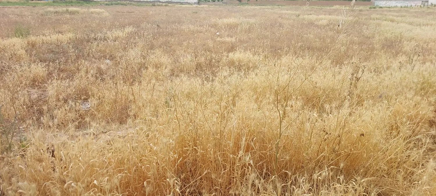 زمین در قطعات ۲۰۰متری و ۴۰۰متری داخل محدوده روستا