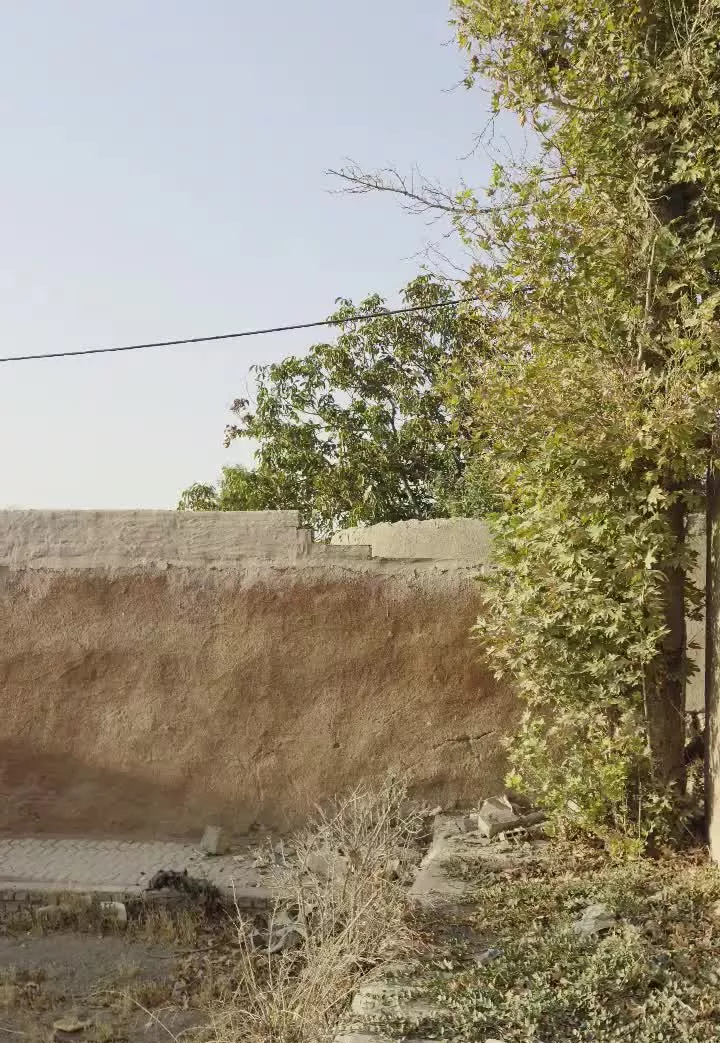 باغ خمینی شهر